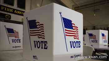 Texans experience temporary issues checking voter registration status