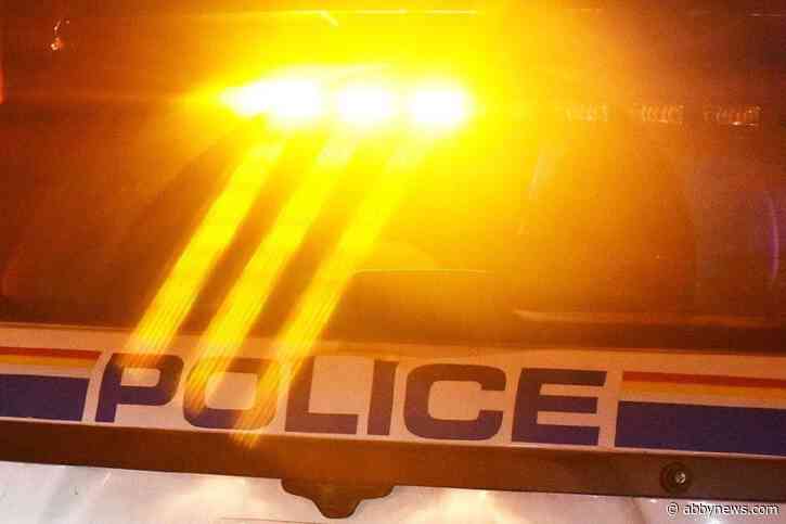 Driver crashes into train in the Lower Mainland