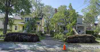 Record slow hurricane season, but Maritimers warned to stay vigilant about extreme weather