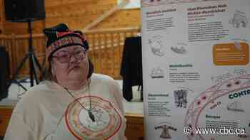 Innu Nation says it will move forward with cancelled exhibit amid history dispute with N.L.