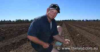 After 18 years, this family farm is starting to scale up again, bit by bit