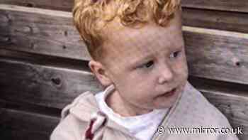 Urgent search for missing boy, 3, who vanished from playground in Brantham