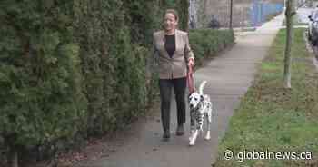 Lawsuit filed against Surrey councillor over dog-bite incident