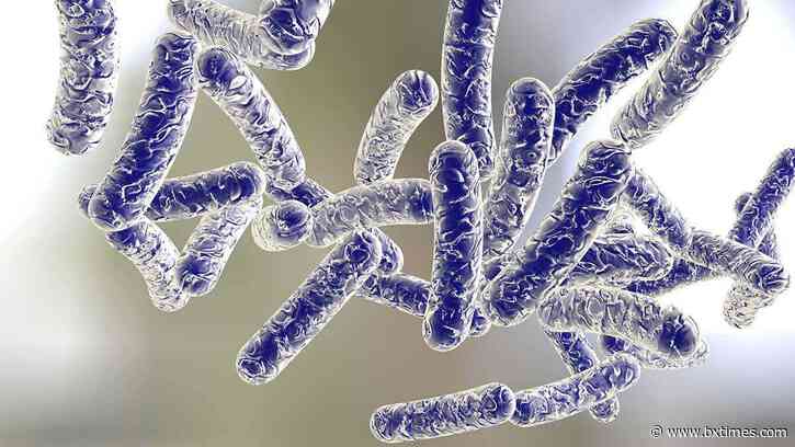 Legionnaires’ outbreak in the South Bronx: What residents should know about symptoms, exposure and treatment