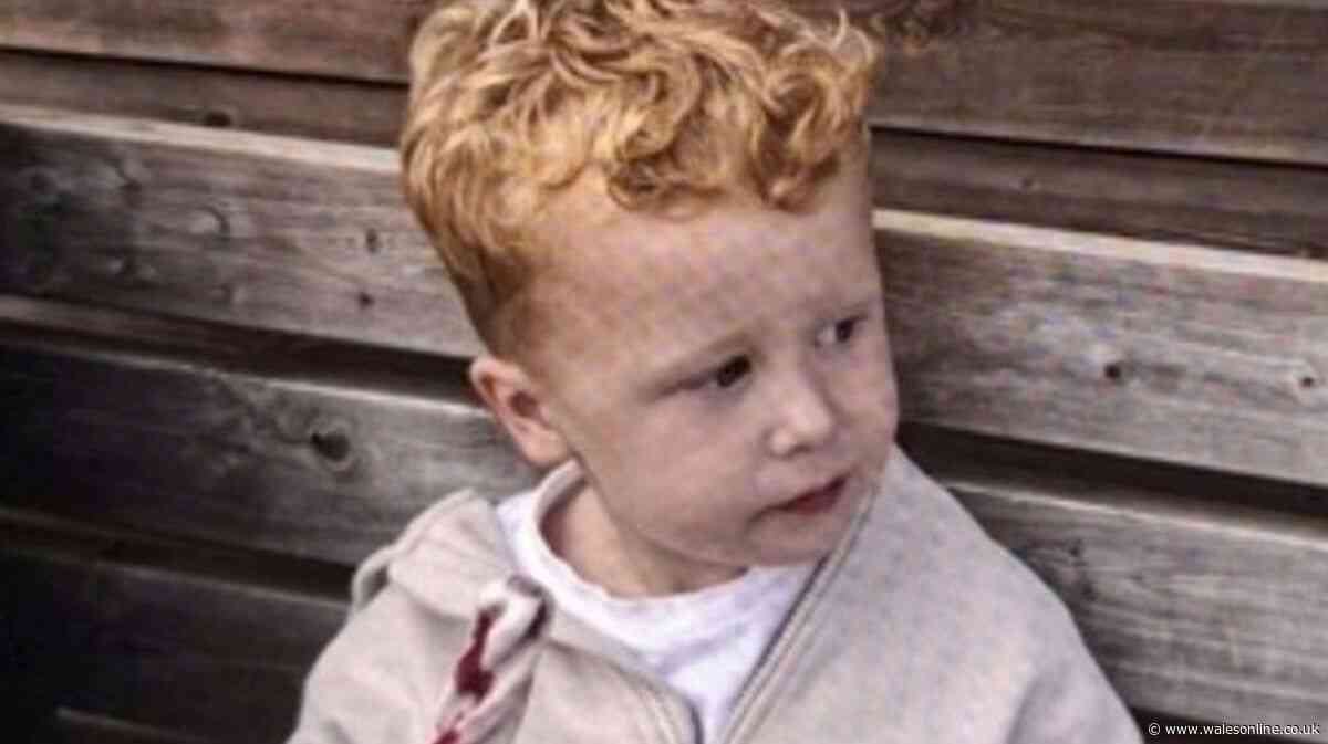 Boy, 3, goes missing at playground as police launch urgent search