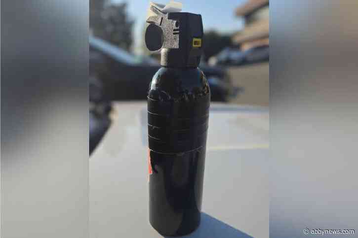 Abbotsford teen arrested after bear-spraying another youth at Mission Leisure Centre