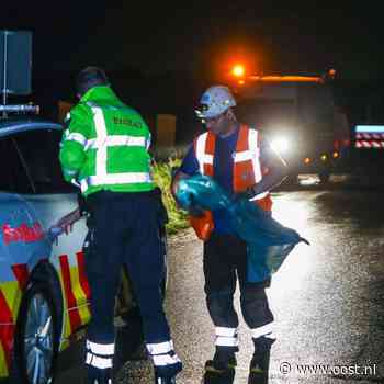 Weer sabotage: treinverkeer tussen Apeldoorn en Deventer even stil om buis op spoor