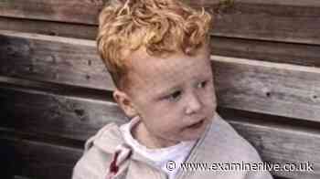 Major search launched for missing three-year-old boy after he disappeared from playground