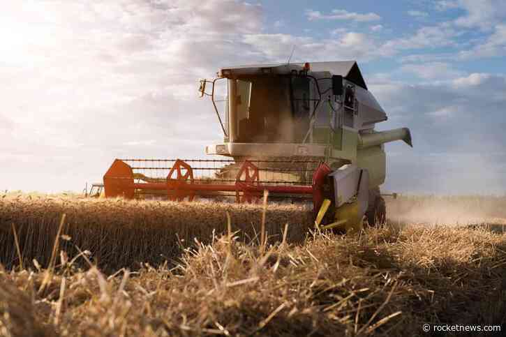 Wheat Showing Mixed Early Trade on Monday