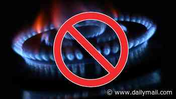 Gas could be banned from Australian homes under controversial new proposal
