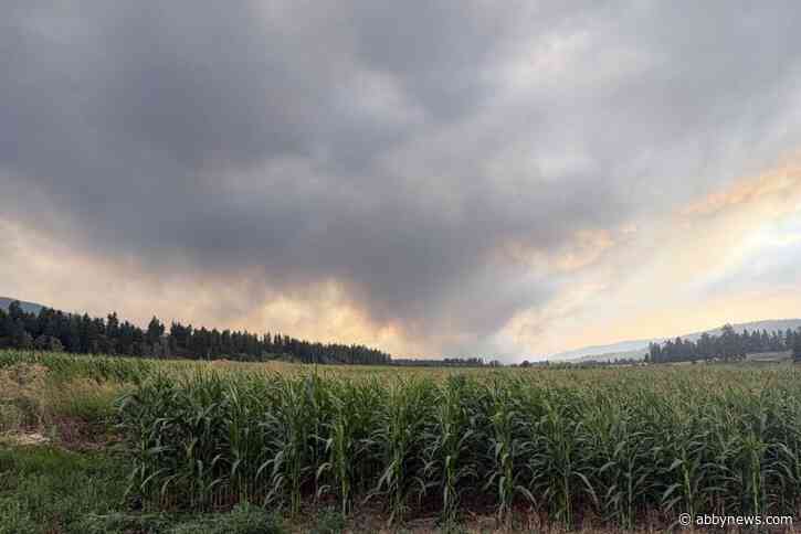 UFV agricultural report shines spotlight on decline of mid-size B.C. farms