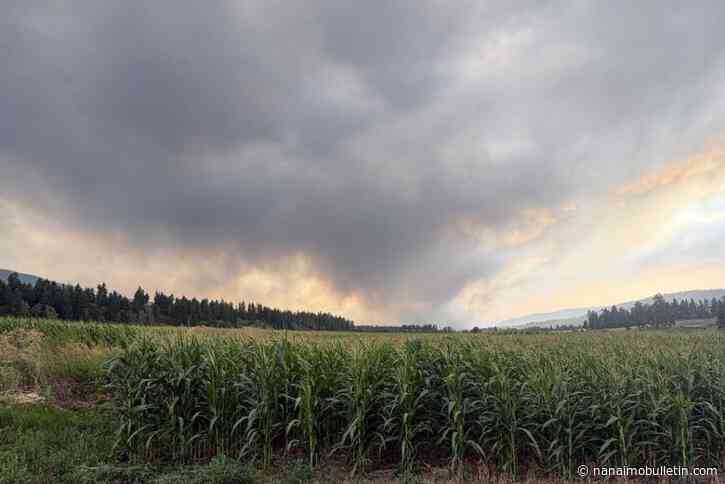 UFV agricultural report shines spotlight on decline of mid-size B.C. farms