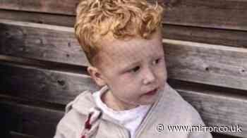 Suffolk Police say boy, 3, who vanished from Brantham playground 'won't respond to his name'