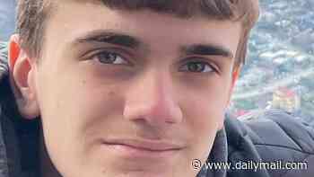 Boy left to die 'like road kill' after being struck by driver who was looking at phone