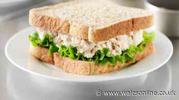 Tuna mayo sandwiches will be lighter and creamier if you add extra ingredient