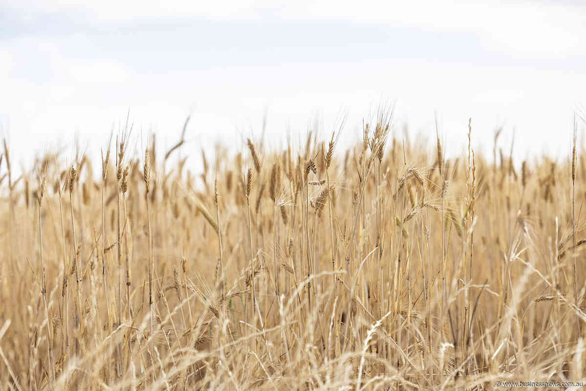 CBH splashes $680,000 on charity from overloaded grain truck profits