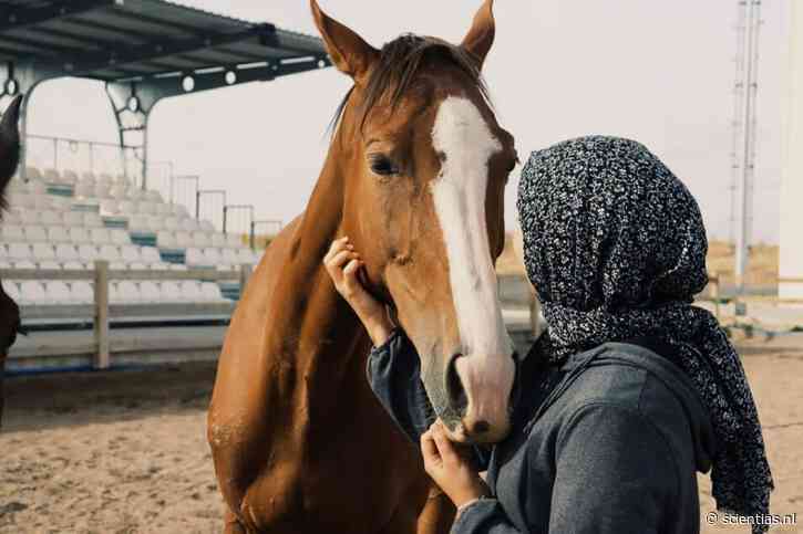 Trots paardenbaasje? Je hebt zelf invloed op de persoonlijkheid van het dier