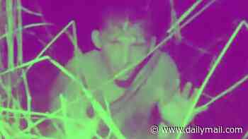 Dramatic moment DUI suspect flees into alligator-infested waters while carrying TWO children