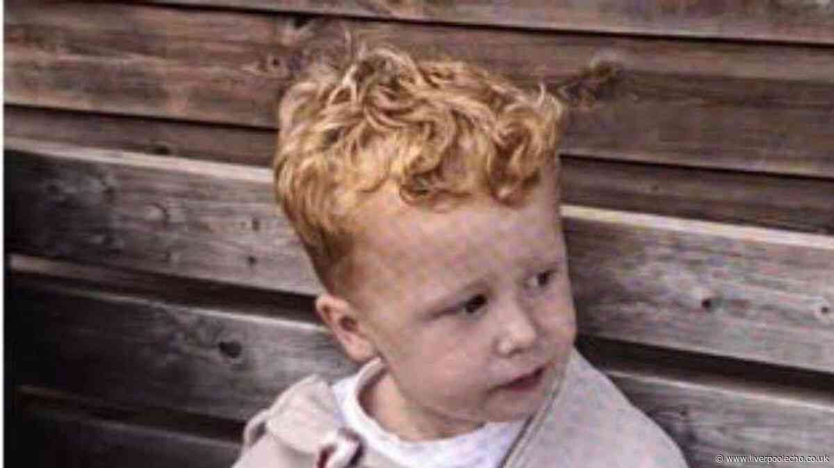 Missing boy, 3, 'won't respond to name' after vanishing from playground