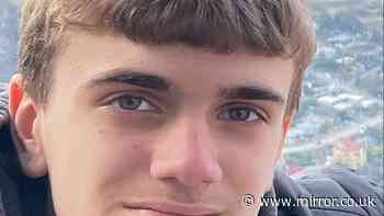 Boy, 14, left to die 'like road kill' after hit-and-run as man 'looked at phone'