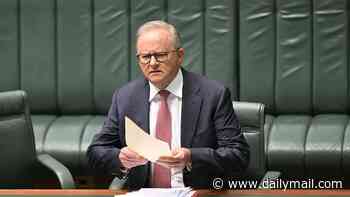 Anthony Albanese to announce huge migration crackdown tomorrow as Labor worries about the rise of Pauline Hanson