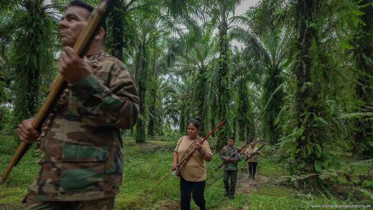 Lateinamerika bleibt gefährlichste Region für Umweltschützer