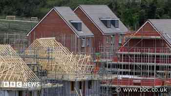 Council backs legal action over homes plan