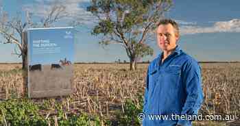 Farmers pay the price for big polluters: report details a shifting burden
