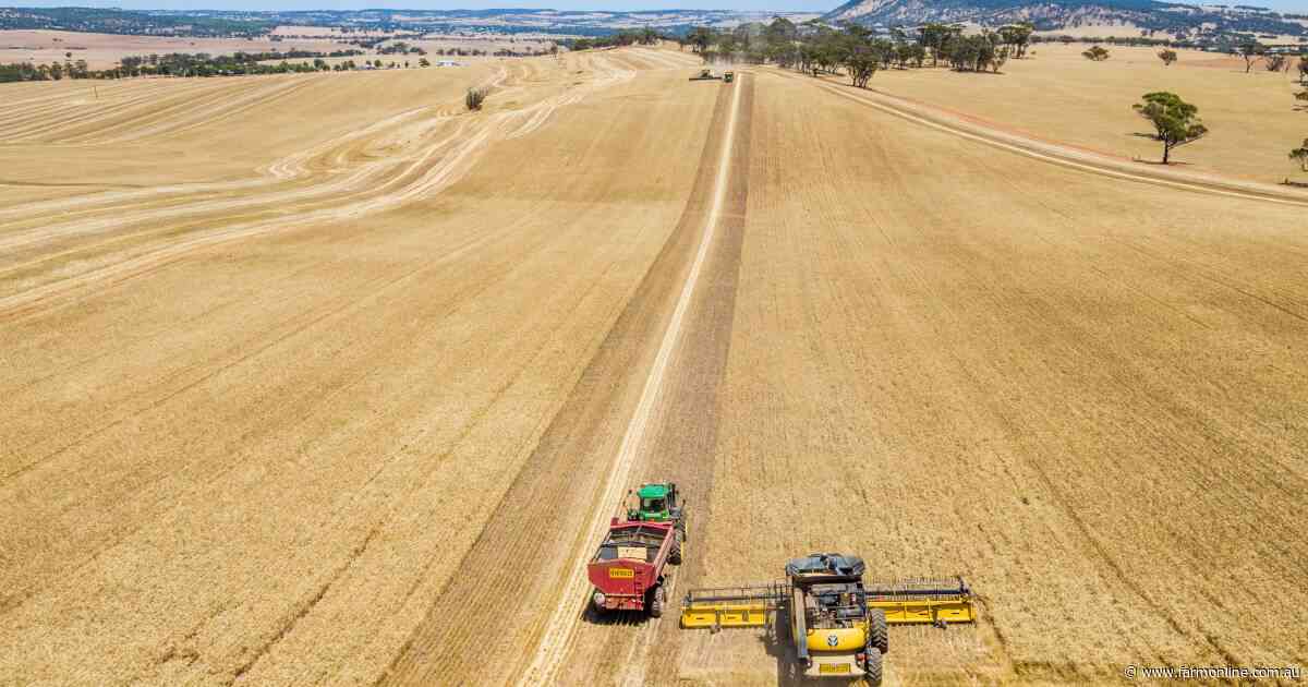 False dawn? Why Black Sea peace hopes are rattling the global wheat market