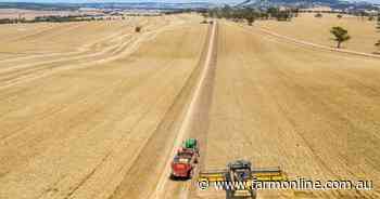 False dawn? Why Black Sea peace hopes are rattling the global wheat market