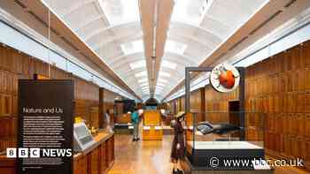 Natural History Museum opens gallery locked in 1943
