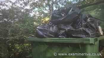 'They've collected my bins for 42 years but now say it is not safe to do so' says angry Huddersfield pensioner