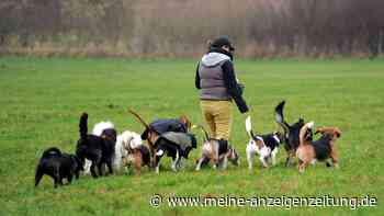 Wann Kosten für Hund und Katze steuerlich absetzbar sind