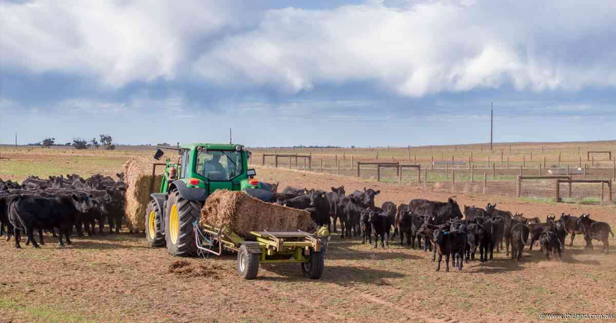 'A drought of many layers': early action 'better than no decision' for planning