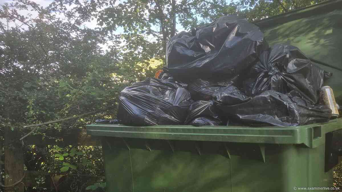 'They've collected my bins for 42 years but now say it is not safe to do so' says angry Huddersfield pensioner