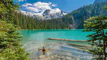 B.C. Parks tweaks registration system after scalpers flip free Joffre Lakes hiking passes
