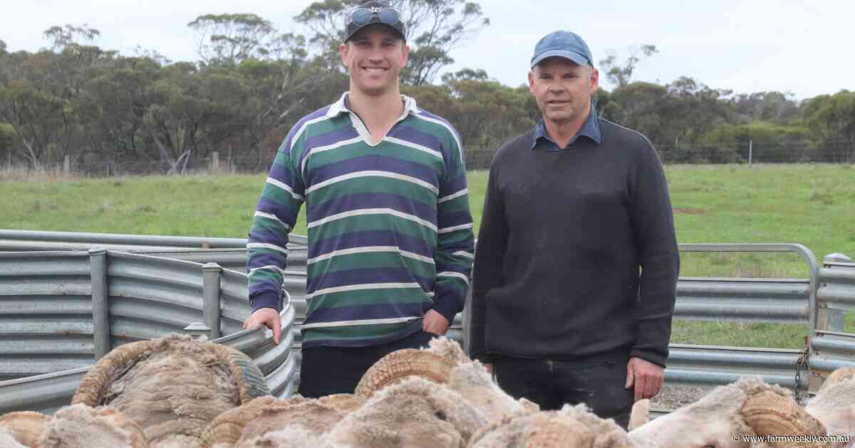 A 120-year legacy: How the O'Meehan family keeps their Merino dream alive