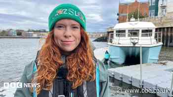 Oysters from nursery 'thriving' in North Sea