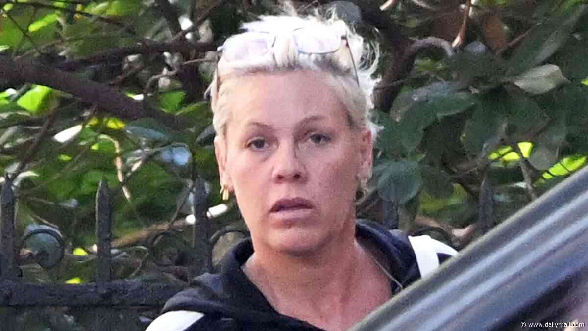 Pink is seen for the first time after Macklemore was cut from Ed Sheeran tour amid row over 'Free Palestine' speech