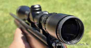 Firearms buyback scheme in doubt after Coalition back motion to overturn