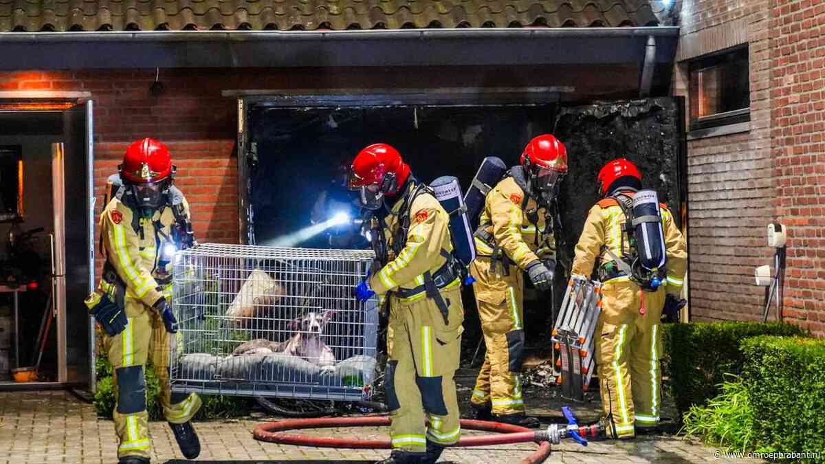Brand in garage slaat door naar huis in Geldrop, hond uit tuin gered