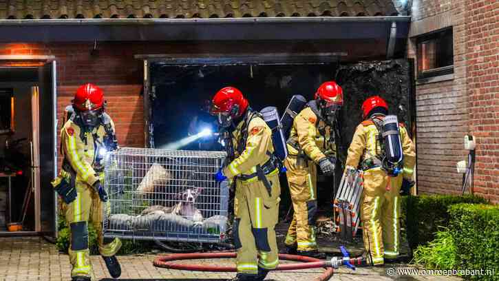 Brand in garage slaat door naar huis in Geldrop, hond uit tuin gered