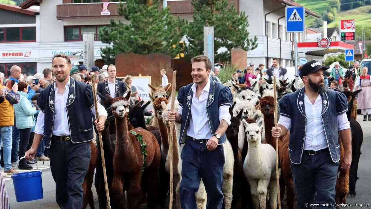 Glocken, Käse, Schokolade: Zum Alpabzug nach Fribourg