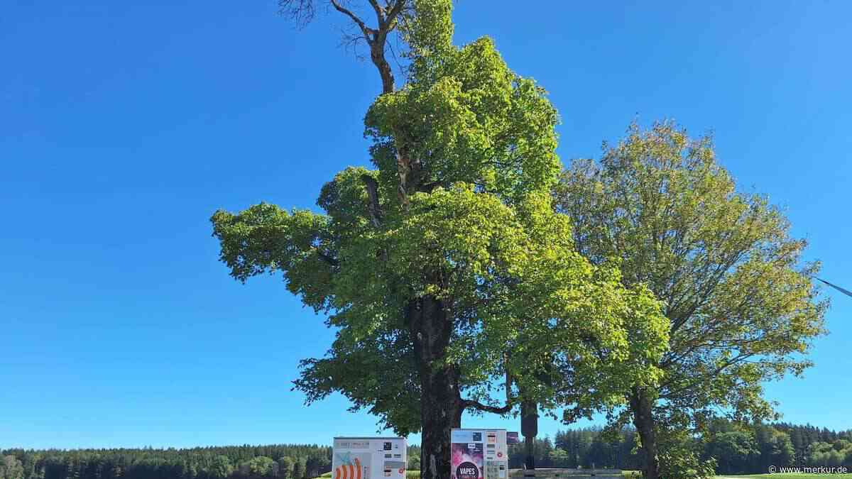 „Frevel an der Natur“: Wirbel um Zigaretten-Automaten am Feldkreuz