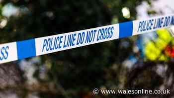 Man died after falling from top of multi-storey car park in Swansea