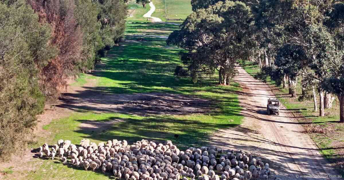 Spring farm auctions start quietly with no bids for Keith lucerne property
