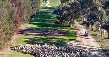 Spring farm auctions start quietly with no bids for Keith lucerne property