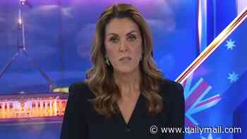 Peta Credlin launches scathing attack against 'weak men' as Labor staffer is sacked after crude remarks about TV host came back to haunt him