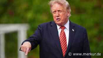 Zwischenwahlen in den USA: Demokraten greifen nach Trumps Mehrheit im Kongress