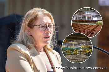 ‘Shocked’, Rita Saffioti on brick shortage update